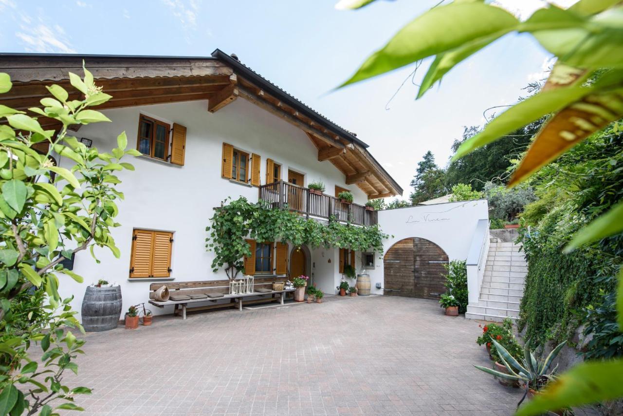 La Vinea